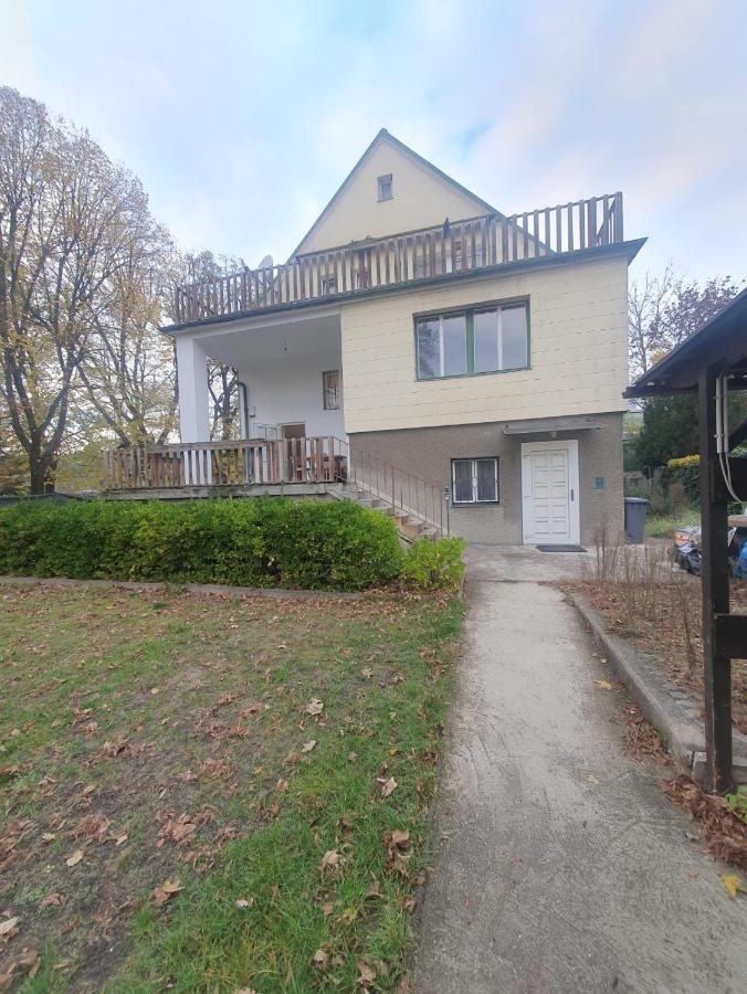 וינה Breathtaking Shared Villa Near Danube River /W Garden And Parking מראה חיצוני תמונה